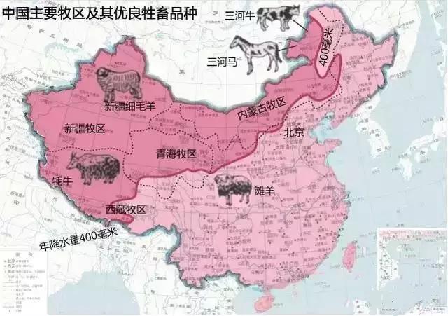 管家婆168彩图